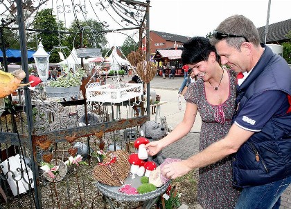 Bild aus Gewerbeschau 2011