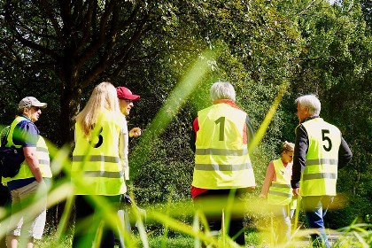 Bild aus Boßeln 2019