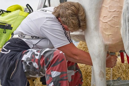 Bild aus Gewerbeschau 2022