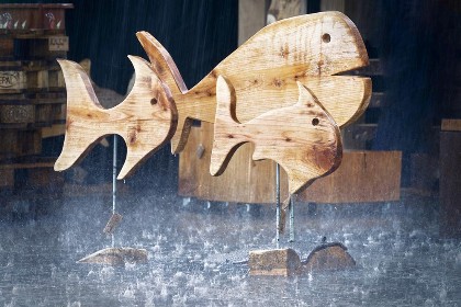 Bild aus Gewerbeschau 2022