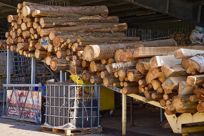 Bild aus Gewerbeschau 2022