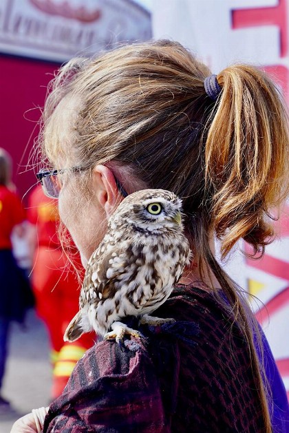 Bild aus Gewerbeschau 2022