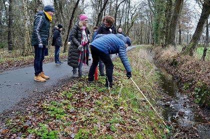 Bild aus Boßeln 2023