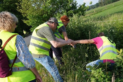 Bild aus Boßeln 2024