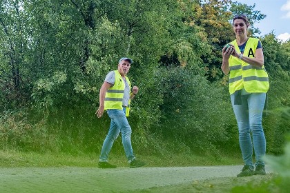 Bild aus Boßeln 2025