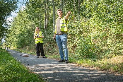 Bild aus Boßeln 2025