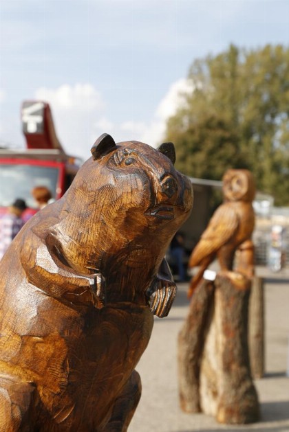 Bild aus Gewerbeschau 2014