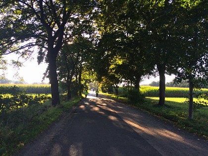 Bild aus Boßeln 2015