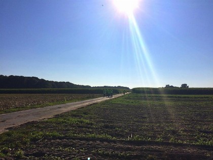 Bild aus Boßeln 2015