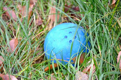 Bild aus Boßeln 2016