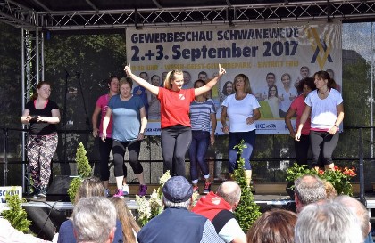 Bild aus Gewerbeschau 2017