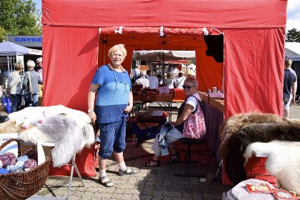 Bild aus Gewerbeschau 2017