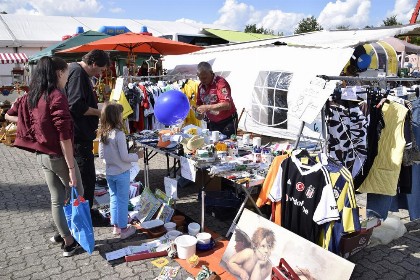 Bild aus Gewerbeschau 2017